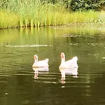 La Toskana Ihr Rueckzugsort Am Regen *