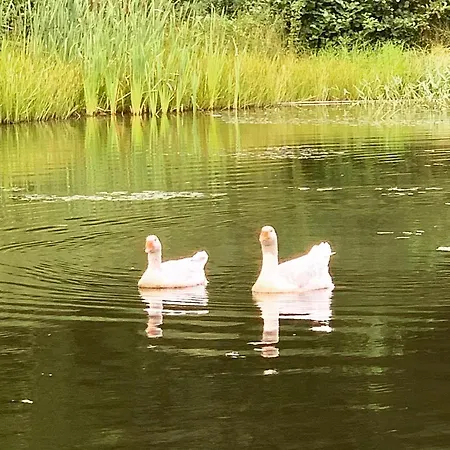 La Toskana Ihr Rueckzugsort Am Regen *